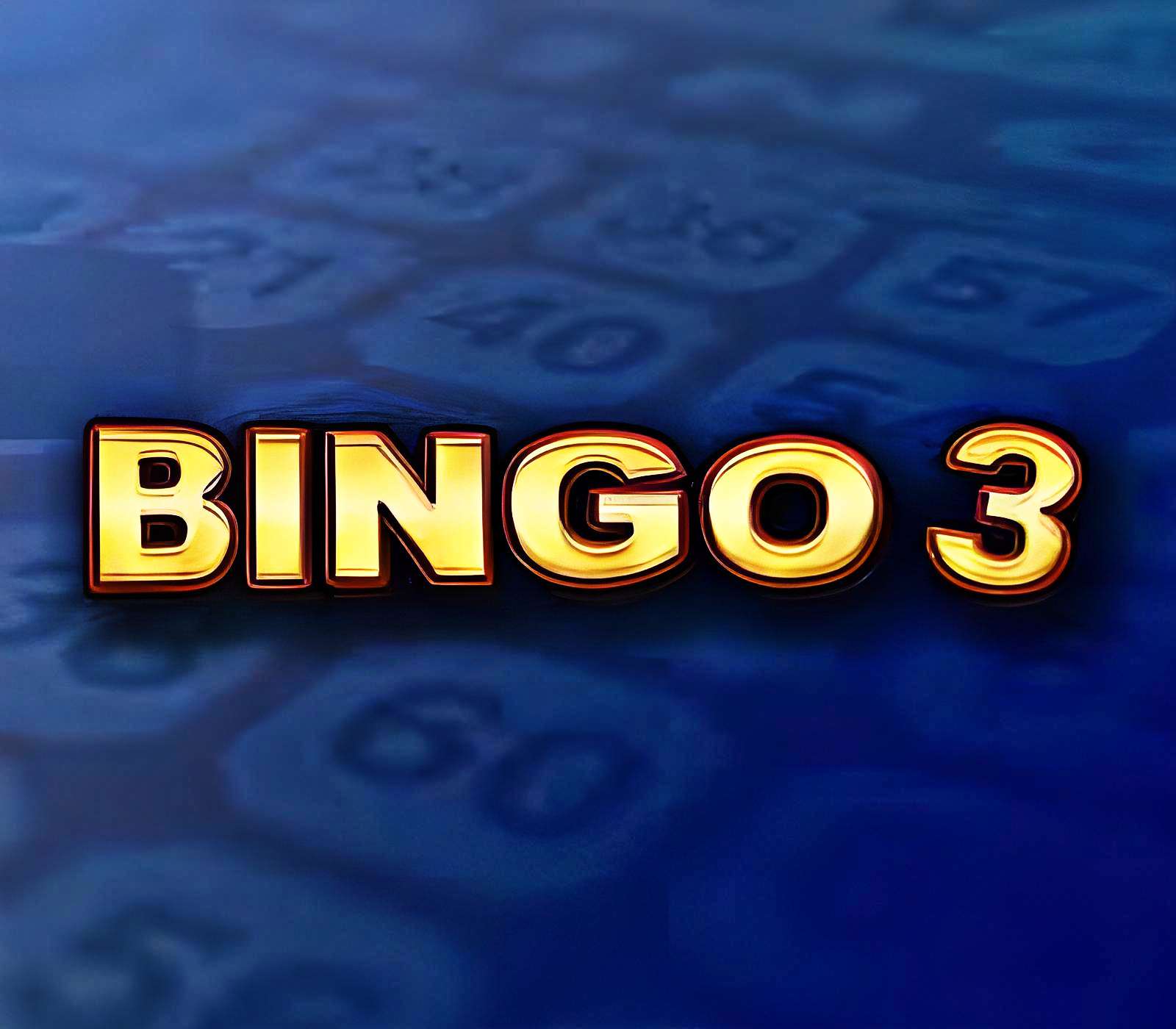 bingo3