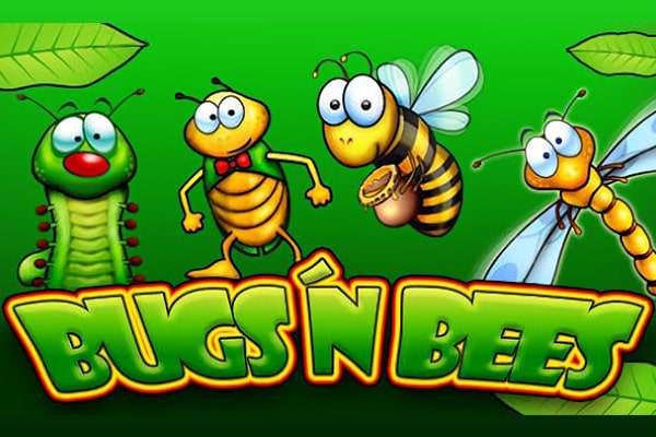 bugsnbees