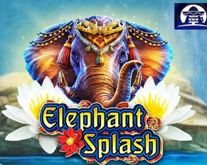 elephantsplash