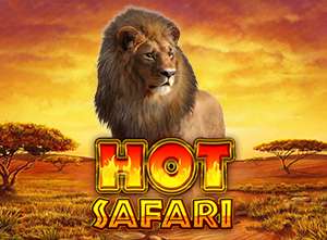 hotsafari