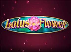 lotusflower