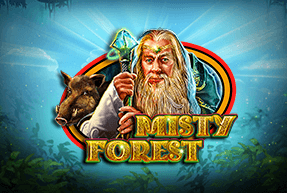 mistyforest