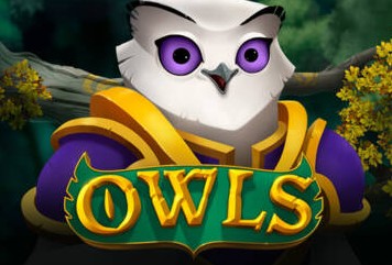 owls