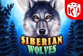 siberianwolves