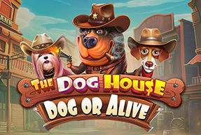 thedoghouse-dogoralive