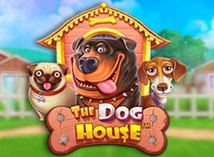 thedoghouse