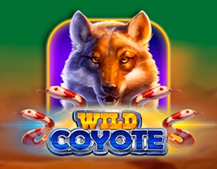 wildcoyote